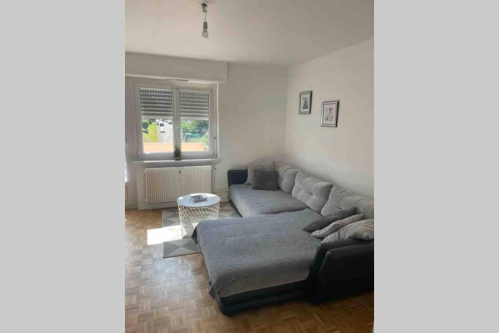 Tres Bel Appartement F4 Proche Gare Riedisheim Екстериор снимка
